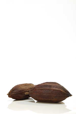 Dried Cocoa Pod Fruit  On White Background, Close Upの写真素材