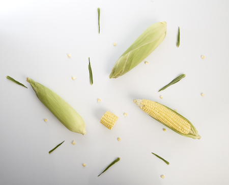 Fresh sweet corn with husks on white backgroundの写真素材