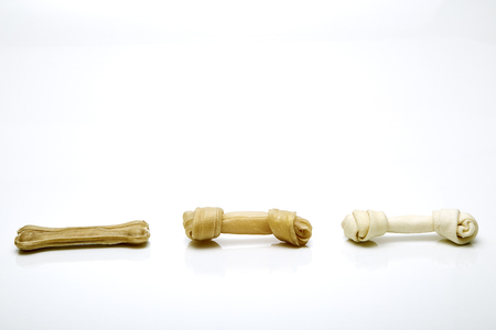 Dog bone isolated on white background, Animal lover concept