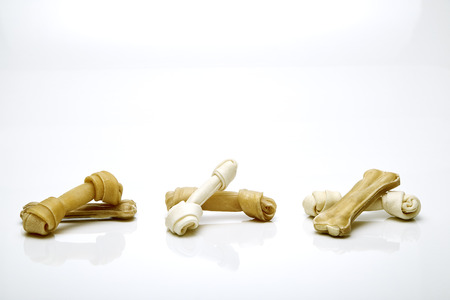 Dog bone isolated on white background, Animal lover conceptの写真素材