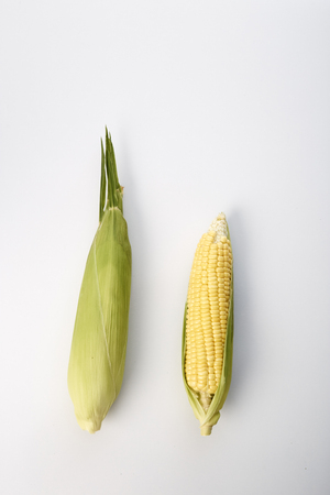 Fresh sweet corn with husks on white backgroundの写真素材