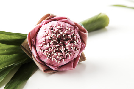 A bouquet of pink lotus on a white background. Spa floral background. Flat lay , Thai style flower bouquetの写真素材