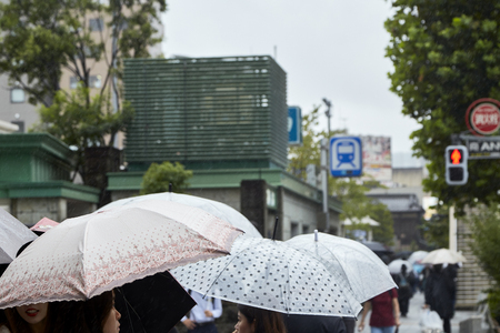 TOKYO JAPAN, Sep 21 ,2018, people holding umbrella Crossing in rainy day. The rain in affected by powerfulのeditorial素材