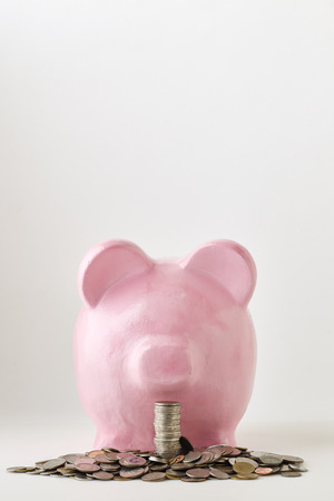 Pink piggy bank on white background. Finance, saving money, In the natural stateの写真素材