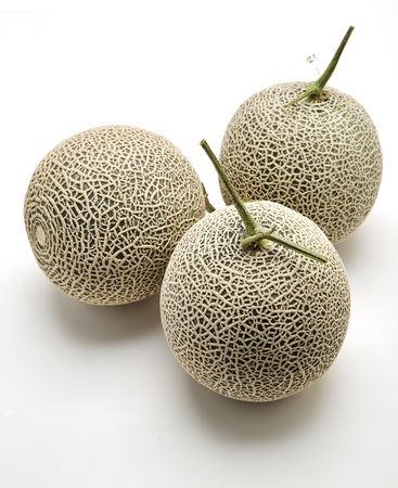 Three fresh cantaloupe melons on white background, Space for designの写真素材