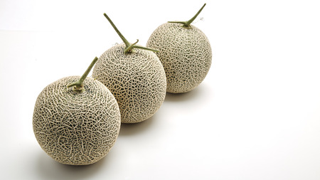 Three fresh cantaloupe melons on white background, Space for designの写真素材