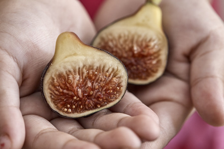 Girl's hand holding a Sliced fresh figの写真素材