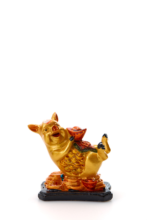 Decoration Pig 2019 Lunar New Year and Chinese New Year on white background, Empty space for designの写真素材