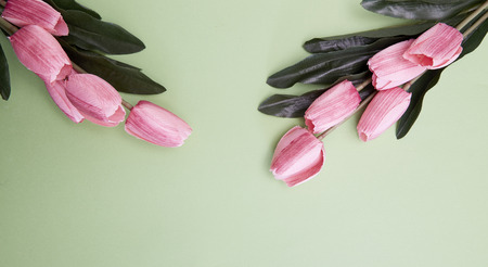 Pink Spring Tulips bright a green paper background, in a flat lay composition with Copy space.の写真素材