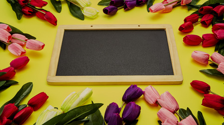 Colorful tulips on wooden table with black empty chalk board on yellow background, copy space...