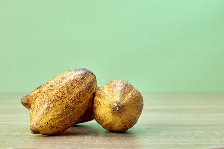 Cocoa pod on wooden table greenの写真素材