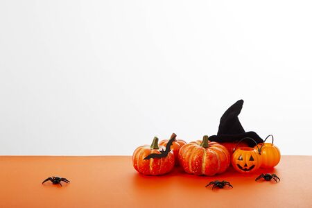 Happy Halloween pumpkin with festive decorations floor orange on white wall background. Empty space for the text designの写真素材