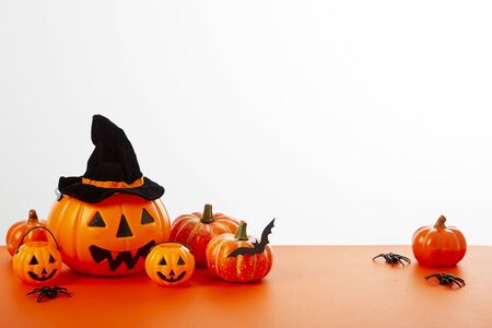 Happy Halloween pumpkin with festive decorations floor orange on white wall background. Empty space for the text designの写真素材