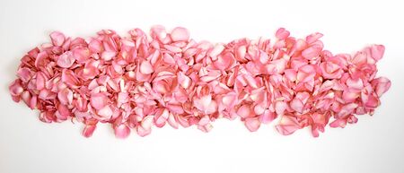Petals of pink roses on white background Valentine's day background. Flat lay, top view, copy space...