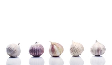 Elephant Garlic (Allium ampeloprasum), garlic variety on white backgroundの写真素材