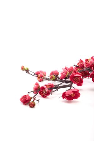Artificial branch of blossoming cherry with bright pink flowers, isolated on white background, copy space for textの写真素材