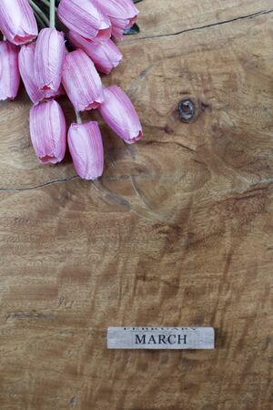 March text and pink Tulips On Wooden