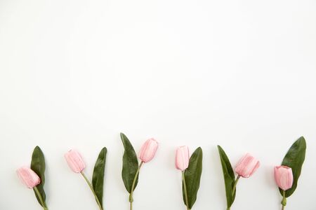Bouquet of pink tulips on white background. copy space for textの写真素材