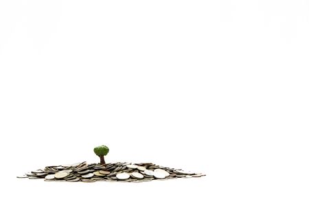 Growth of tree on baht pile of coins at white background. Copy space.の写真素材