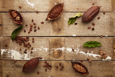 Cocoa pods and cocoa beans on wooden background, top view copy space for textの写真素材