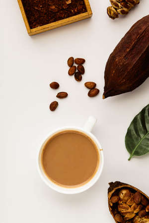 Mug of cacao Hot drink with cocoa pods, cacao powder, cacao beans, on a white background, flat lay food conceptの写真素材