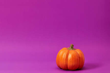 Pumpkin on purple background.の写真素材