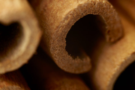Close up cinnamon sticks isolated on white backgroundの写真素材