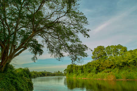 Beautiful nature scenic landscape view the forest and riverin the morning at Kanchanaburi of Thailandの写真素材