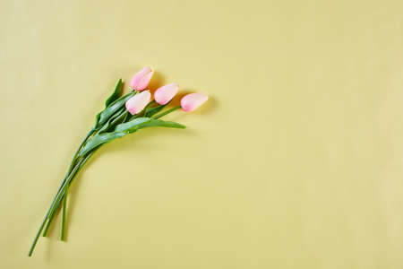 Pink tulips on a yellow background. Seasonal Spring Holiday with free text space, banner, flyer. Minimal concept of Hpayy Easter, Mother day, 8 march, Woman day, birthdayの写真素材