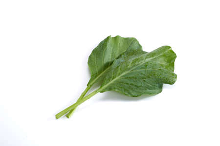 water drops on fresh Chinese kale vegetable on white background