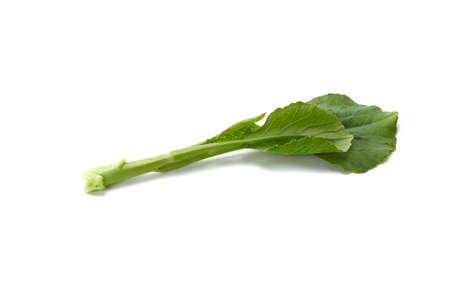 water drops on fresh Chinese kale vegetable on white background