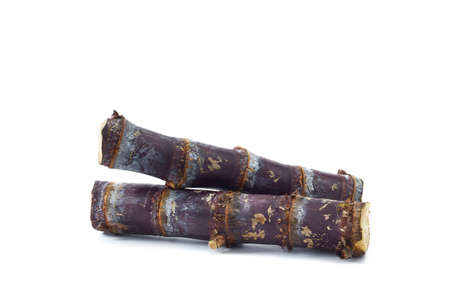 Closeup piece sugar cane cut isolated on white backgroundの写真素材