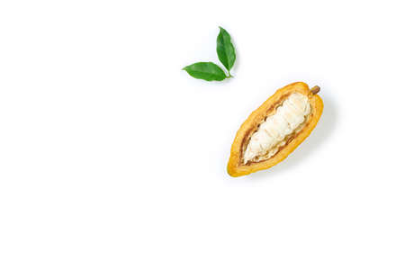 Top view Fresh cocoa fruits half sliced and green leaf isolated on white backgroundの写真素材