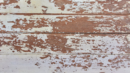 Vintage white old brown wood panel texture wall backgroundの写真素材