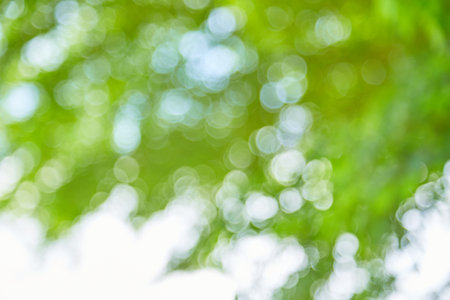 Natural green bokeh light background blurの写真素材