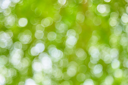 Natural green bokeh light background blurの写真素材