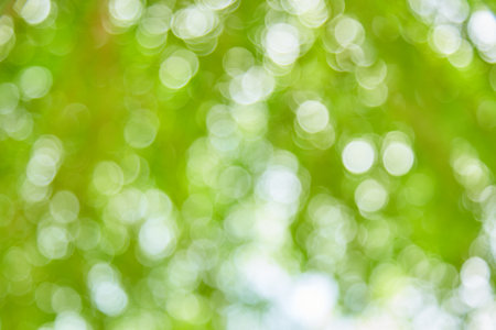 Natural green bokeh light background blurの写真素材