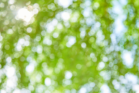 Natural green bokeh light background blurの写真素材
