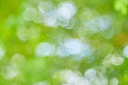 Natural green bokeh light background blurの写真素材