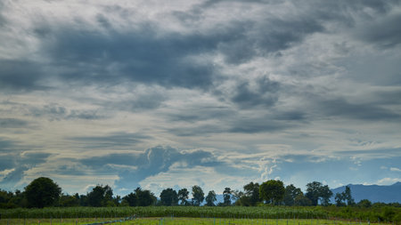 Time-lapse cloud before storm above summer landscape country fields corn planting plotの写真素材