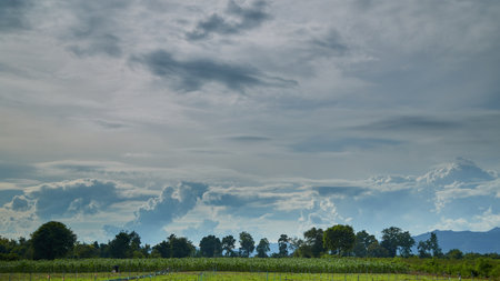 Time-lapse cloud before storm above summer landscape country fields corn planting plotの写真素材