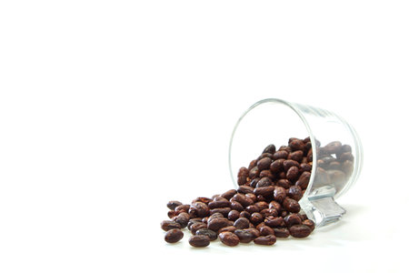 Dried roasted cocoa beans in a glass on a white background, empty space.の写真素材