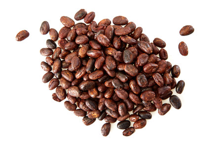 Dried cocoa beans isolated on a white background, top viewの写真素材