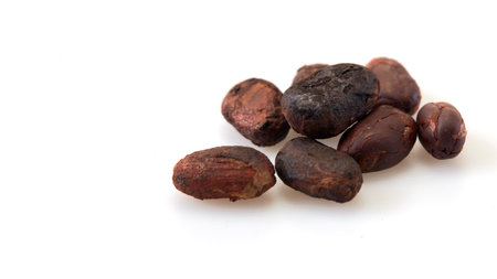 Close-up Unpeeled cocoa bean isolated on a white backgroundの写真素材