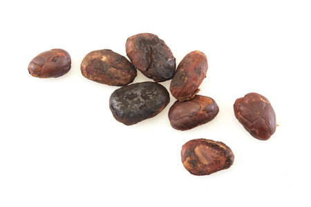 Close-up Unpeeled cocoa bean isolated on a white backgroundの写真素材