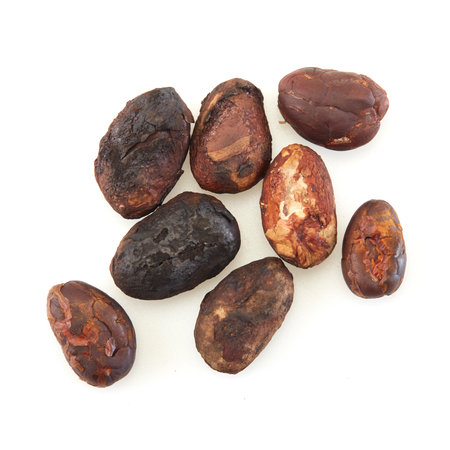 Close-up Unpeeled cocoa bean isolated on a white backgroundの写真素材
