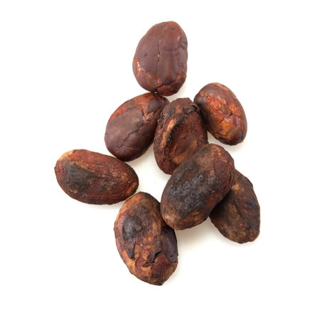 Close-up Unpeeled cocoa bean isolated on a white backgroundの写真素材