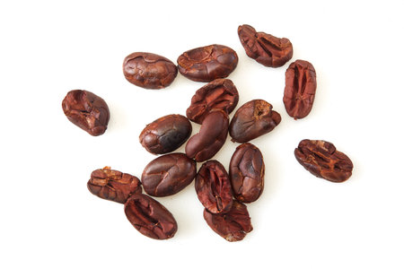 Dried cocoa beans isolated on a white background, top viewの写真素材
