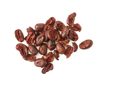 Dried cocoa beans isolated on a white background, top viewの写真素材