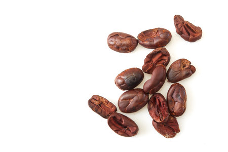 Dried cocoa beans isolated on a white background, top viewの写真素材